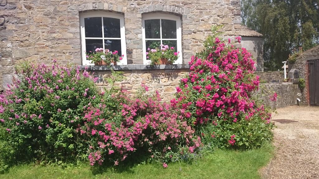 B&B Aux Anges Profondeville Exterior foto